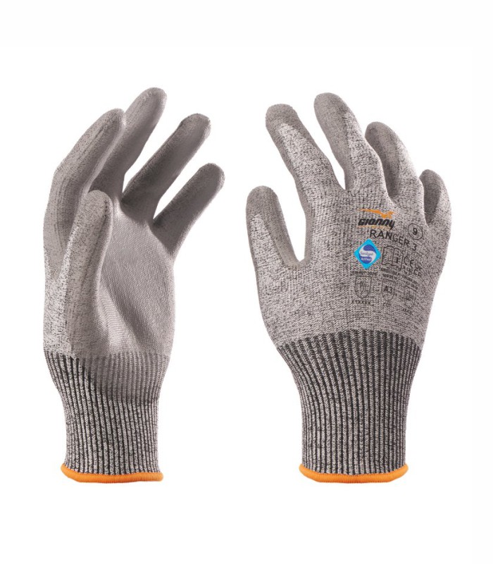 RANGER 3-Payper-01 RANGER 3 - Slika 1